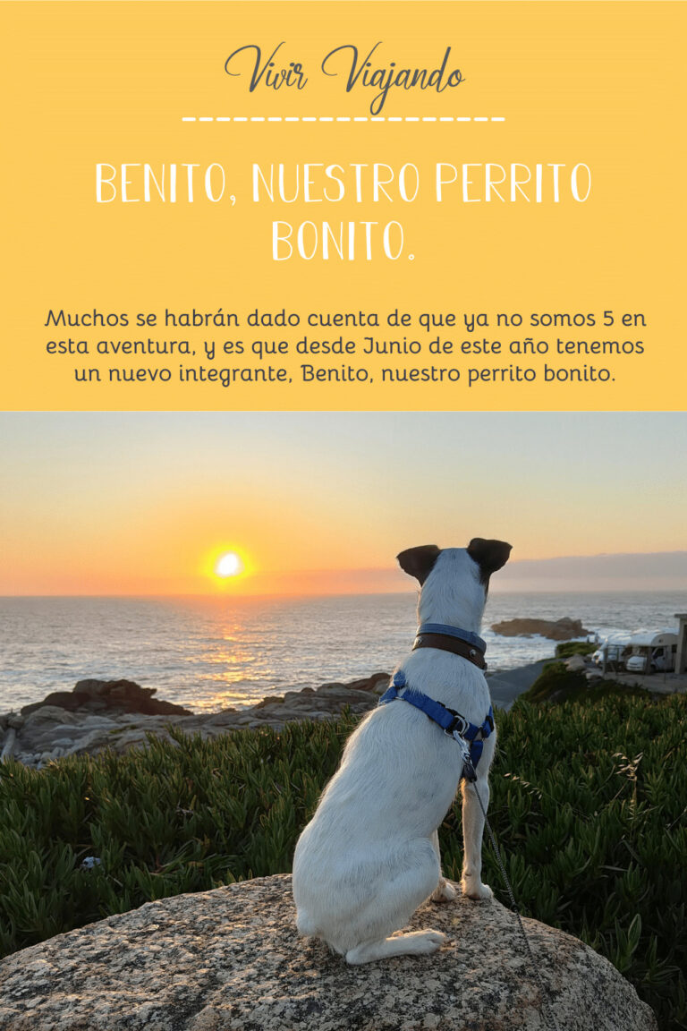 Una Aventura de 5 - Blog - Benito el perrito
