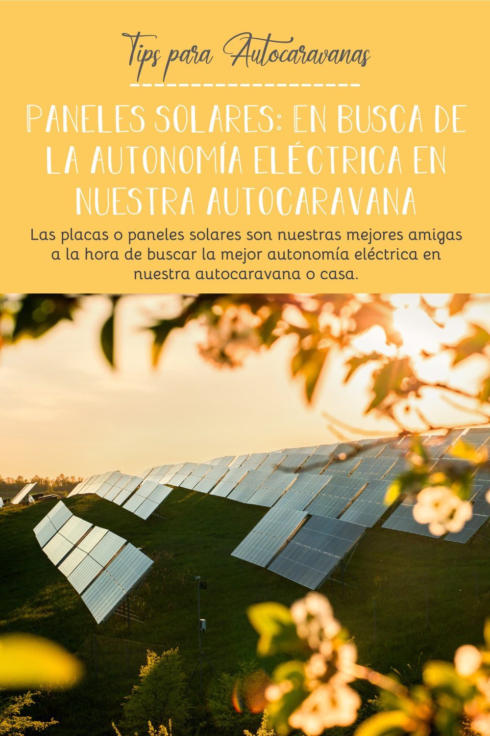 Paneles solares: En busca de la autonomía eléctrica en nuestra autocaravana
